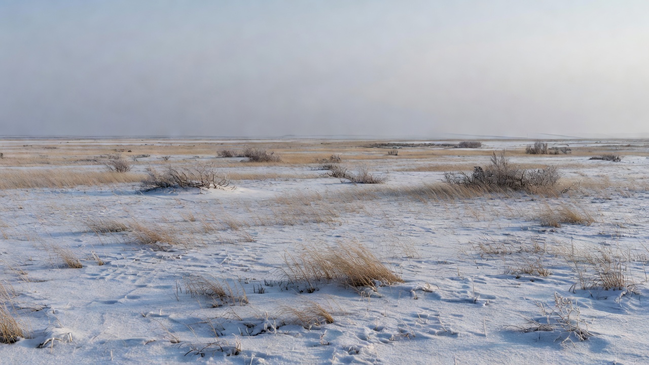 Polarprairie Briefing: Climate Flora and Wildlife